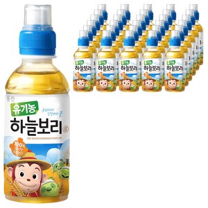 웅진 유기농 하늘보리차, 보리차, 200ml, 48개