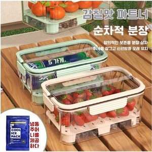 tegong-105 휴대용 편리한 얼음주머니 보존함 이중 레이어 대용량 냉장고 과일 채소 보존함 야외 소풍용 미니 냉장고, 1개, 노란색 21.5*14*10cm