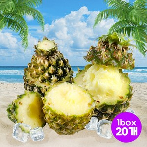 파인애플샤베트 파인샤베트 업소용 도매용 1box 20개입+드라이아이스 기본제공4개+무료배송, 20개, 130ml
