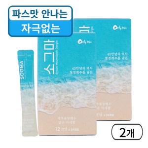 소그마 제주용암해수 소금 스틱 비건 가글 구강 청결제 잇몸 건강 휴대용 세트, 288ml, 2개