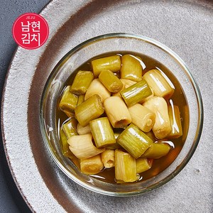 제주 남현 마농지, 3kg, 1개