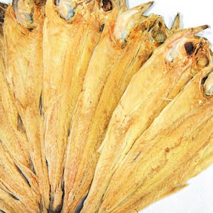 산지직송 용대리 황태포 특대 마리당크기 42~44cm, 1개