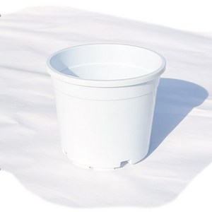 산세분5.5호(흰색) 플라스틱화분 분갈이흙 모종분, 1개