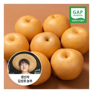 [신선연구소]GAP인증 23년 나주배 가정용 5kg 6-10과, 1개