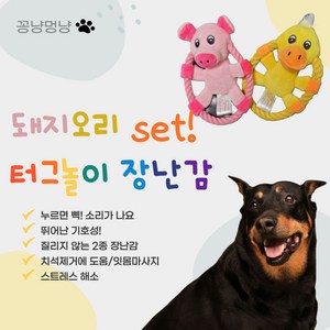 반려견이 너무 좋아할 수 있음 주의! 2종 돼지오리 세트 터그장난감, 1세트
