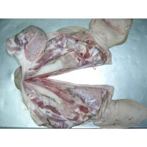 생물 돼지머리(국내산), 1개, 5kg