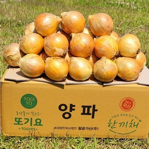 [또기요]양파 국내산10kg (중) 산지직송 식당 급식 실속형 대용량 업소용 양파, 1개