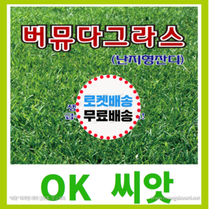 [OK씨앗] [버뮤다그라스(난지형잔디)] 잔디씨앗(오케이씨앗) 15g, 1개