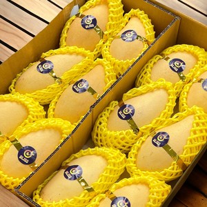 [최저가도전] 최상급보장 태국산 망고 골드망고 태국 항공직송 남독마이, 1개, 4kg(8-12과)