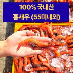 속초 100% 국내산 자연산 단새우(55미내외) 횟감 홍새우 아마에비 홈마카세 최근조업 급냉, 1개, 500g