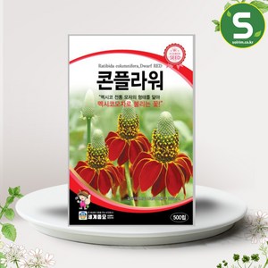 콘플라워 씨앗 500립 관상용 일년생 꽃씨앗 종자, 1개