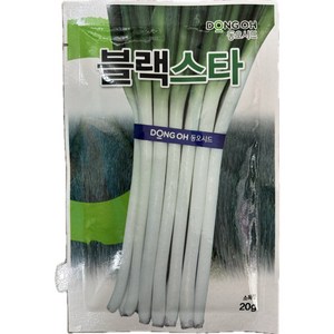 블랙스타 내병성 대파씨앗20g / 동오씨앗, 1개