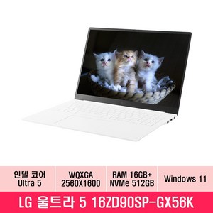 LG전자 그램 Po 16 코어 울트라5 인텔 Ac, 에센스화이트, 512GB, 16GB, WIN11 Home, 16ZD90SP-GX56K