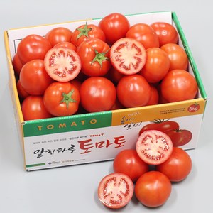 [산지직송] 국내산 완숙 토마토, 1개, 완숙토마토 2.5kg