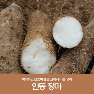 산지직송 안동마 햇마 안동장마 마 생마 장마 5kg, 1세트, 5kg(실속)