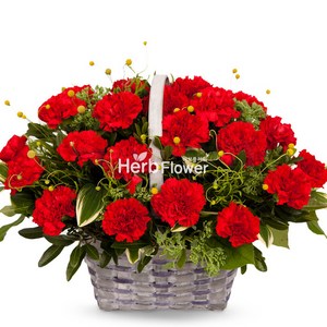 카네이션꽃바구니 어버이날카네이션 스승의날카네이션 전국꽃배달, A03 카네이션 꽃바구니, 1개