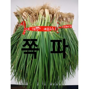 쪽파 보성 흙쪽파 1단 (1.5kg 내외) 야채맘, 1.5kg, 1개