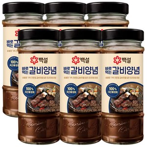 백설 바로먹는 갈비양념, 490g, 6개