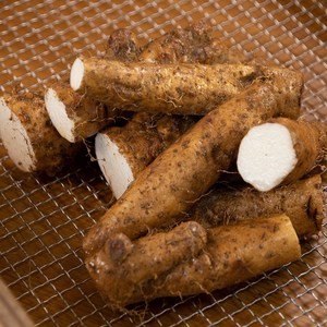 안동 태산농장 장마, 1박스, 2kg (a.장마파지)