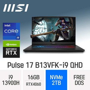 MSI Pulse 17 B13VFK-i9 QHD, Free DOS, 16GB, 2TB, 코어i9, 그레이