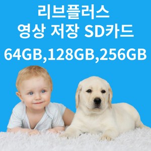 추천3왕눈이캠