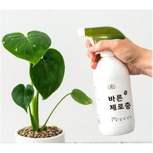 식물 제로충 500ml 친환경 식물살충제 깍지벌레약 화초진드기 응애퇴치 식물관리제 뿌리파리, 1개