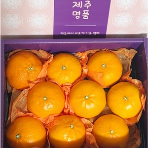 참새마켓 레드향 선물세트 가정용, 1개, 선물세트 중대과 2kg(6~12과)