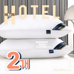 DeLINE 힐튼호텔 고중량 마이크로필에버 향균 베개 [20만판매기념], #01.오리지널, 2개