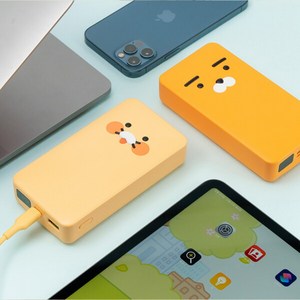 카카오프렌즈 사각 PD 보조배터리 20000mAh USB, 라이언, WPB20000_PD