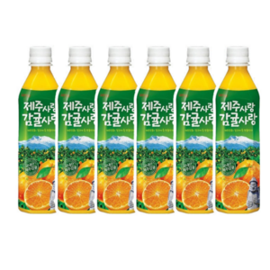 롯데칠성음료 제주사랑 감귤사랑 주스, 500ml, 6개