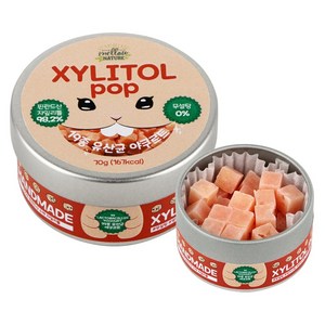 수제 장인 자일리톨 팝 캔디 사탕 핀란드산 100% 19종 유산균 요쿠르트, 70g, 1개