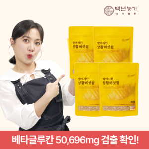 백년농가 상황버섯쌀, 400g, 4개