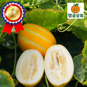 [탱글상회] 아삭달콤 못난이 성주참외, 1박스, 1kg(4-8과)