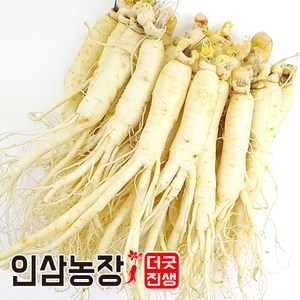 더굿진생 금산인삼 수삼 세척 원수삼 실속형, 1개, 세척인삼650g(13~16뿌리)