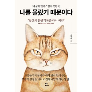 내 삶이 만족스럽지 못한 건나를 몰랐기 때문이다:당신의 인생 각본을 다시 써라, 유노북스, 김정현