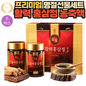 프리미엄 6년근 홍삼정 농축액 엑기스 명절 선물 세트 250g x 2병 5박스 진세노사이드 추석 처가집 장인어른 장모님 결혼 축하 행사 체육대회 모임 계 단체 선물 세트