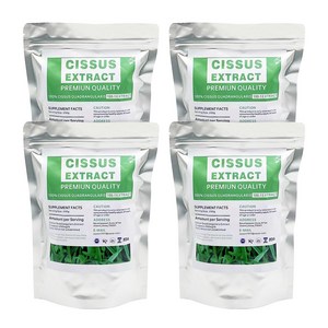 2+2 스타별 시서스 가루 100배 농축 추출물 고농축 씨서스 48개월분 4팩 500g+500g, 시서스 500+500g