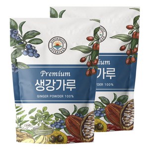 해나식품 생강 가루 분말, 2개, 500g