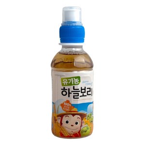 웅진 유기농 하늘보리차, 200ml, 24개