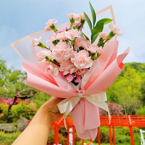 감사핑크 카네이션 꽃다발 어버이날 스승의날, 연핑크, 1개