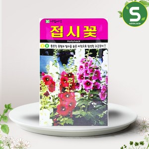 솔림텃밭몰 AR 접시꽃씨앗 100립 접시꽃 꽃씨앗 조경용 고급 꽃씨, 1개