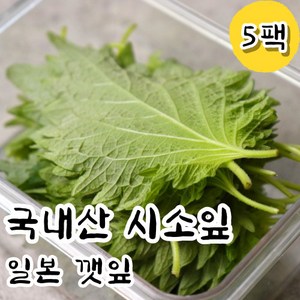 신선한 생 시소잎 일본깻잎 5팩 시소 차조기 차즈기 자소엽 소엽 잎 회깻잎 일식 식당 업소용 가정용 재료 스시 아오시소 잎채소, 5개