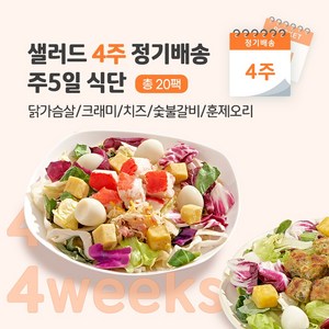 [포켓샐러드] 샐러드 4주 정기배송 주 5일 (베스트 샐러드_닭+크래미+치즈+숯불+훈제오리), 250g, 20개