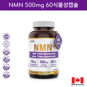 NMN 500mg 60식물성캡슐 트렌스 레스베라트롤 100mg 함유 허바캐나다, 1개, 60정