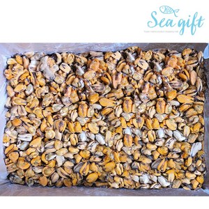 [씨기프트]냉동 자숙 홍합살 10kg 박스 벌크포장 업소용, 10kg(1개), 1개
