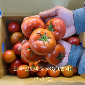 [신선보장] 아침에 따서 그날 보내는 완숙토마토, 1번가, 1개, 5kg