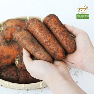 [삼촌농장] 올해 갓 수확한 하우스 햇당근 흙당근(중/즙용) 3kg 5kg 10kg, 1개