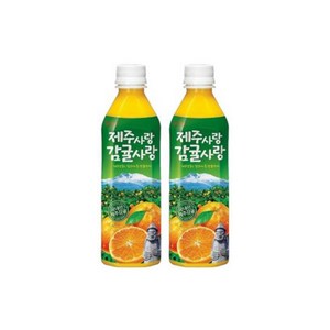 롯데칠성음료 제주감귤 500ml x 24펫, 24개