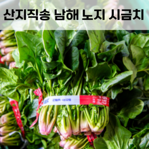 산지직송 해풍 맞고 자란 달달한 남해 햇 노지 시금치 섬초 1kg 2kg 4kg 10kg 대용량 업소 제철채소 남해시금치 시금치섬초 남해시금치섬초 시금치10kg 10키로 섬초시금치, 1개