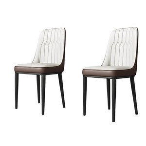 ANYOU 북유럽풍 가죽 식탁의자 인테리어 디자인체어 2개입 호환 가구 라운드 테이블 호환 가구, 188-02, 2개